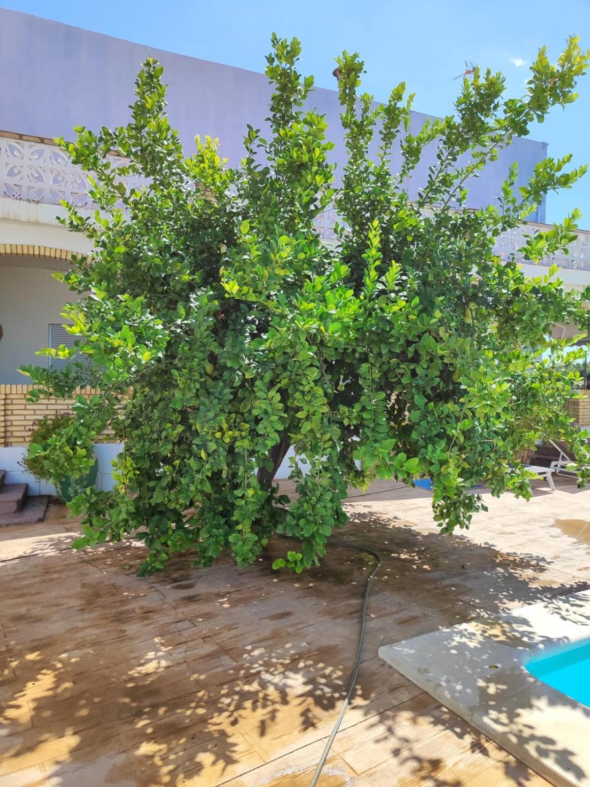 El Recreo, Private Pool & Bbq Villa Godelleta Exteriör bild